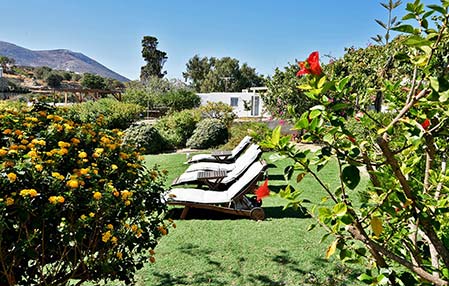 Κήπος και ξαπλώστρες με θέα στον Αρτεμώνα